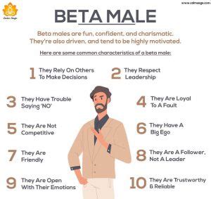 what is a beta male|10 Signs You're a Beta Male (and What You Can Do About It!).